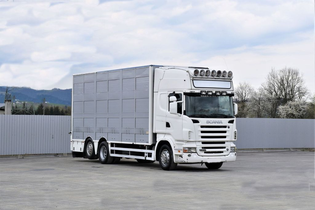 Scania R 500 TIERTRANSPORTWAGEN 7,10m / 4STOCK Scania R 500 TIERTRANSPORTWAGEN 7,10m / 4STOCK - شاحنة نقل المواشي: صورة 2 Scania R 500 TIERTRANSPORTWAGEN 7,10m / 4STOCK Scania R 500 TIERTRANSPORTWAGEN 7,10m / 4STOCK - شاحنة نقل المواشي: صورة 2