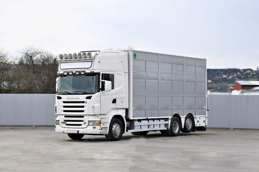 Scania R 500 TIERTRANSPORTWAGEN 7,10m / 4STOCK Scania R 500 TIERTRANSPORTWAGEN 7,10m / 4STOCK - شاحنة نقل المواشي: صورة 1 Scania R 500 TIERTRANSPORTWAGEN 7,10m / 4STOCK Scania R 500 TIERTRANSPORTWAGEN 7,10m / 4STOCK - شاحنة نقل المواشي: صورة 1