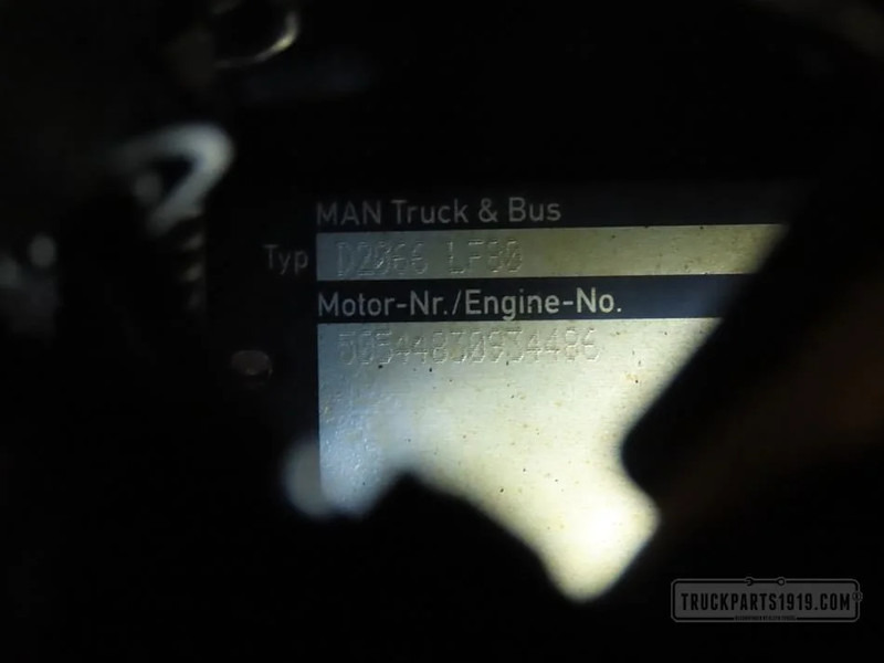 MAN Engines & Parts Motor D2066LF80 E6 - محرك - شاحنة: صورة 3 MAN Engines & Parts Motor D2066LF80 E6 - محرك - شاحنة: صورة 3