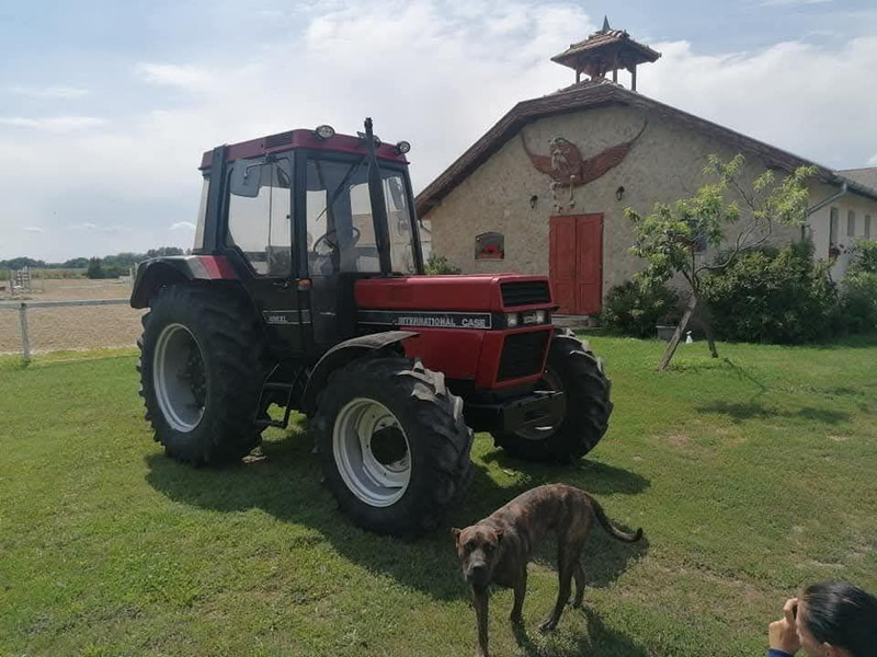 Case IH 856 XL - جرار: صورة 4 Case IH 856 XL - جرار: صورة 4