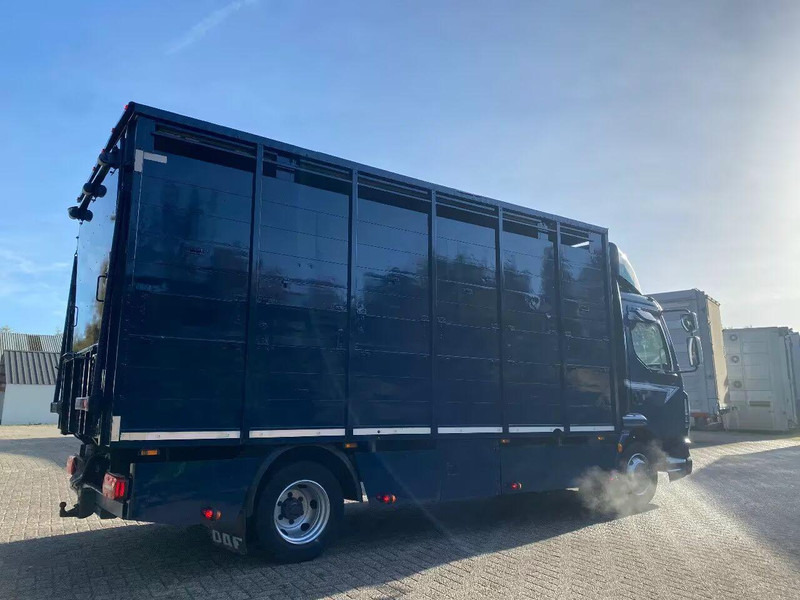 DAF LF 280 - شاحنة نقل المواشي: صورة 3 DAF LF 280 - شاحنة نقل المواشي: صورة 3