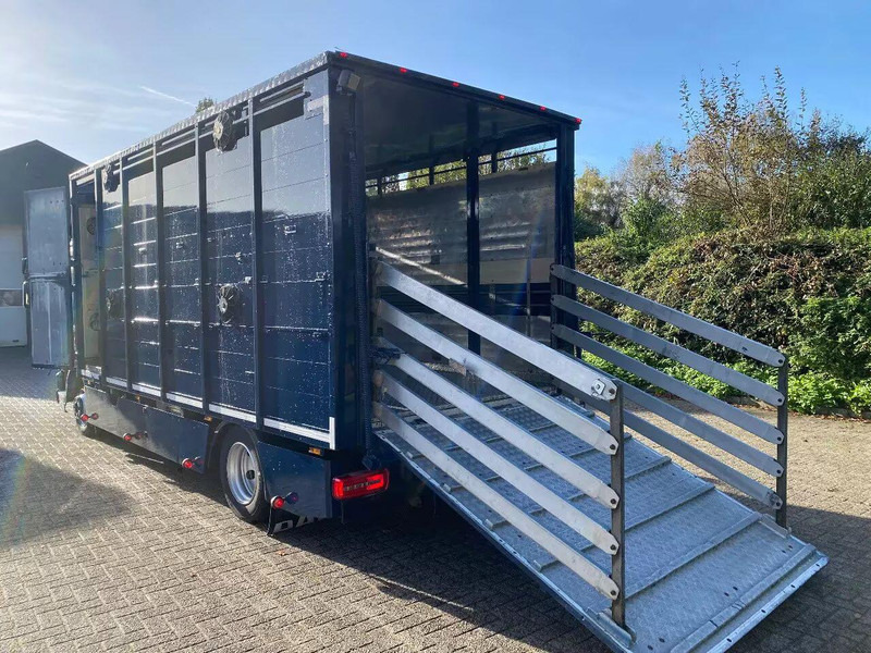 DAF LF 280 - شاحنة نقل المواشي: صورة 5 DAF LF 280 - شاحنة نقل المواشي: صورة 5