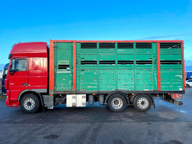 DAF XF 105.460 2-Stock Finkl Viehaufbau / Lenkachs - شاحنة نقل المواشي: صورة 5 DAF XF 105.460 2-Stock Finkl Viehaufbau / Lenkachs - شاحنة نقل المواشي: صورة 5