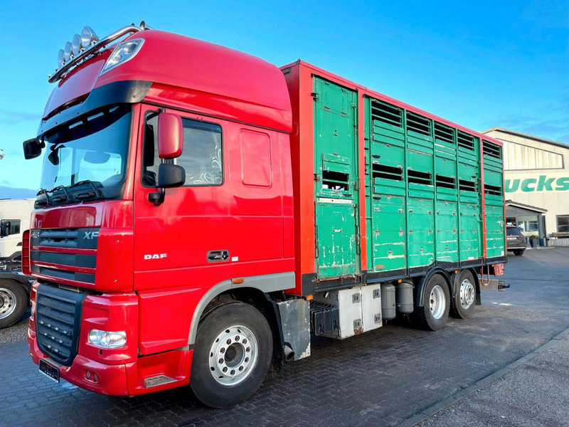 DAF XF 105.460 2-Stock Finkl Viehaufbau / Lenkachs - شاحنة نقل المواشي: صورة 2 DAF XF 105.460 2-Stock Finkl Viehaufbau / Lenkachs - شاحنة نقل المواشي: صورة 2