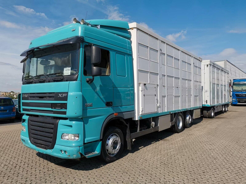 DAF XF 105.460 - Animal transporter + trailer - شاحنة نقل المواشي: صورة 1 DAF XF 105.460 - Animal transporter + trailer - شاحنة نقل المواشي: صورة 1