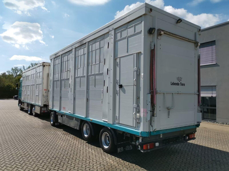 DAF XF 105.460 - Animal transporter + trailer - شاحنة نقل المواشي: صورة 4 DAF XF 105.460 - Animal transporter + trailer - شاحنة نقل المواشي: صورة 4