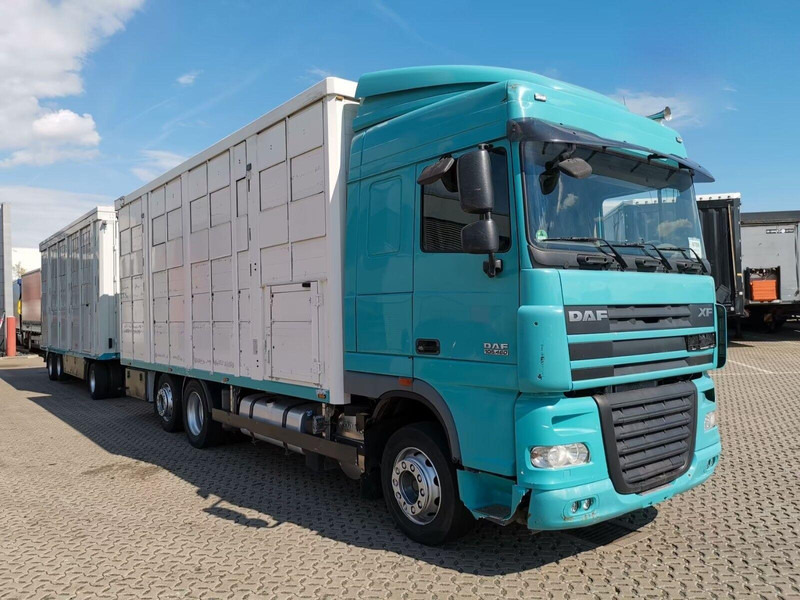DAF XF 105.460 - Animal transporter + trailer - شاحنة نقل المواشي: صورة 2 DAF XF 105.460 - Animal transporter + trailer - شاحنة نقل المواشي: صورة 2