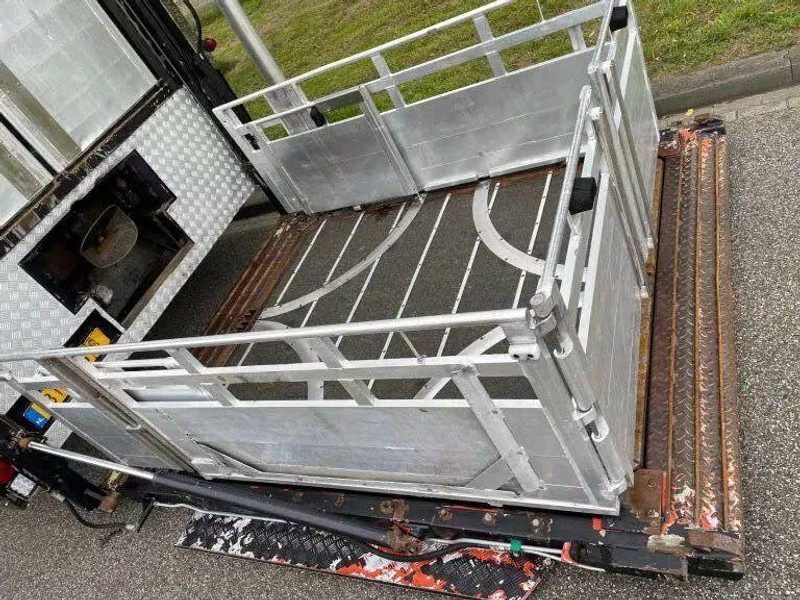 شاحنة نقل المواشي DAF XF 460 - Animal transporter: صورة 8