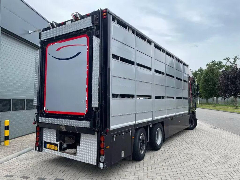 DAF XF 460 - Animal transporter - شاحنة نقل المواشي: صورة 5 DAF XF 460 - Animal transporter - شاحنة نقل المواشي: صورة 5