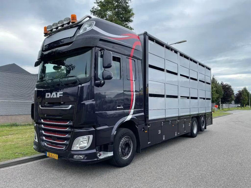 DAF XF 460 - Animal transporter - شاحنة نقل المواشي: صورة 1 DAF XF 460 - Animal transporter - شاحنة نقل المواشي: صورة 1