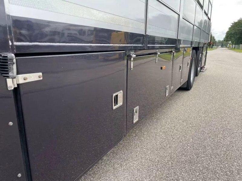 شاحنة نقل المواشي DAF XF 460 - Animal transporter: صورة 15