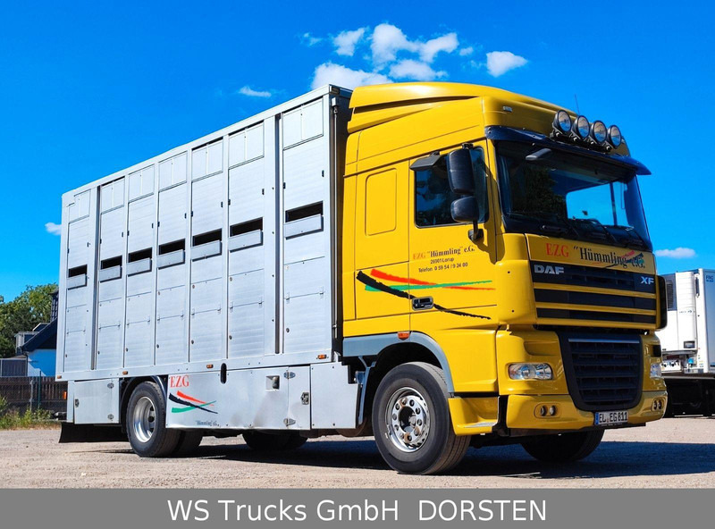 DAF XF410 Menke Doppelstock - شاحنة نقل المواشي: صورة 3 DAF XF410 Menke Doppelstock - شاحنة نقل المواشي: صورة 3