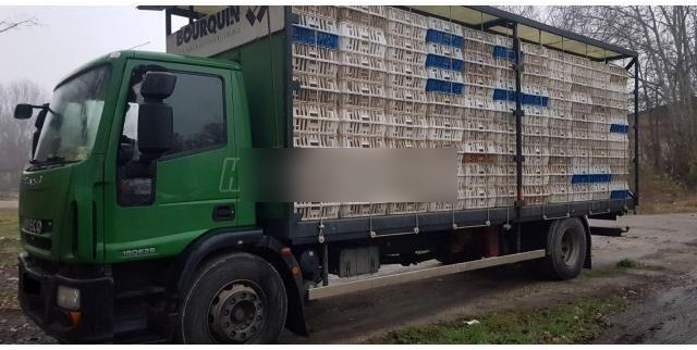 Iveco Eurocargo 180E28 - شاحنة نقل المواشي: صورة 1 Iveco Eurocargo 180E28 - شاحنة نقل المواشي: صورة 1