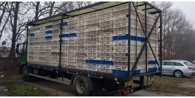 Iveco Eurocargo 180E28 - شاحنة نقل المواشي: صورة 3 Iveco Eurocargo 180E28 - شاحنة نقل المواشي: صورة 3