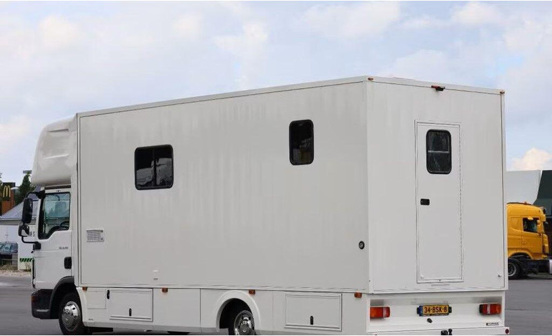 MAN TGL 8.190 - - شاحنة نقل خيل: صورة 4 MAN TGL 8.190 - - شاحنة نقل خيل: صورة 4