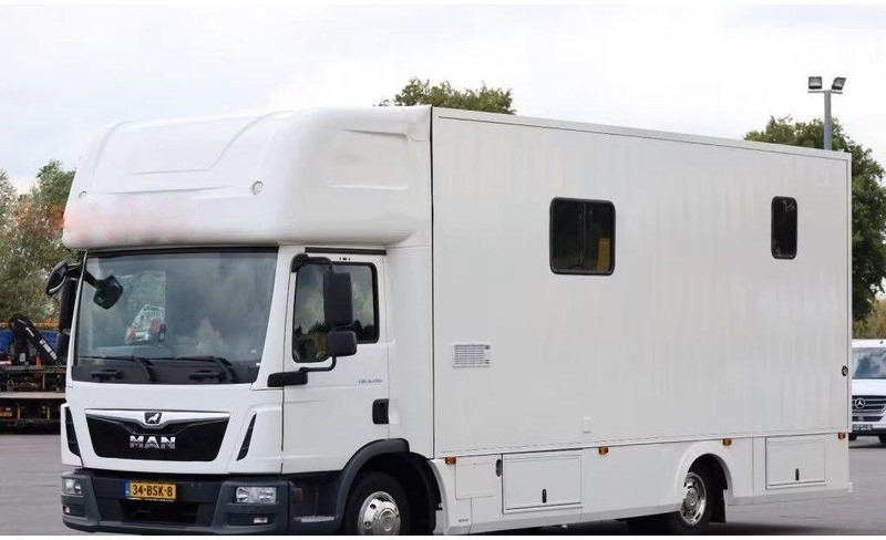 MAN TGL 8.190 - - شاحنة نقل خيل: صورة 1 MAN TGL 8.190 - - شاحنة نقل خيل: صورة 1