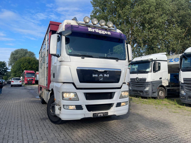 MAN TGX 26.400 6x2-2 LL 3 Stück Finkl Hubdach - شاحنة نقل المواشي: صورة 4 MAN TGX 26.400 6x2-2 LL 3 Stück Finkl Hubdach - شاحنة نقل المواشي: صورة 4