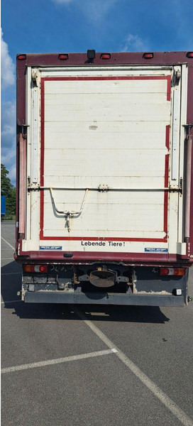 Mercedes-Benz Actros 1851 - شاحنة نقل المواشي: صورة 5 Mercedes-Benz Actros 1851 - شاحنة نقل المواشي: صورة 5