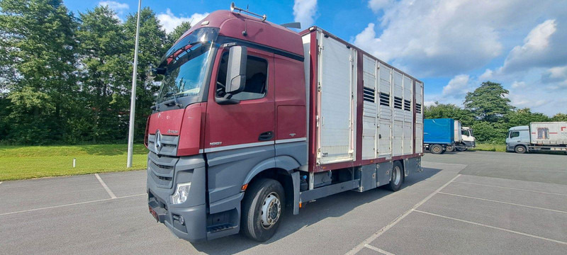 Mercedes-Benz Actros 1851 - شاحنة نقل المواشي: صورة 1 Mercedes-Benz Actros 1851 - شاحنة نقل المواشي: صورة 1