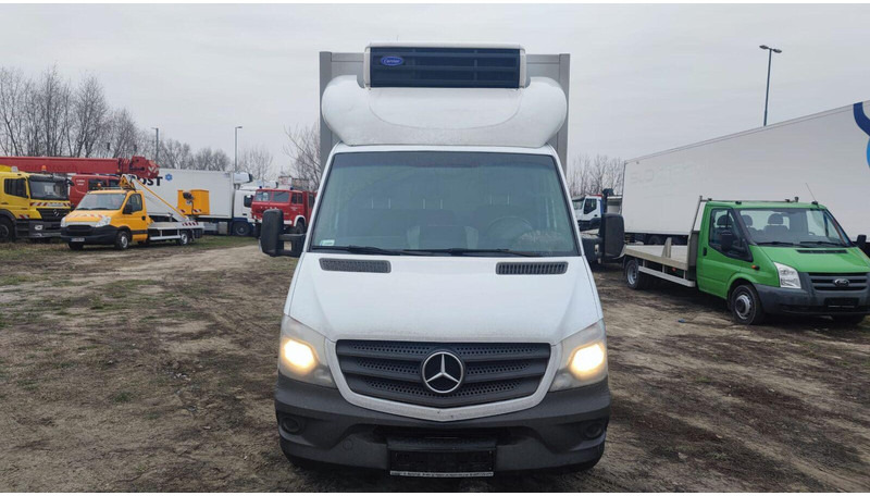 Mercedes-Benz Sprinter 316 cdi - Carrier Xarios 500 frigo - 3,5t - 220V - شاحنة مُبرّدة للتوصيل: صورة 5 Mercedes-Benz Sprinter 316 cdi - Carrier Xarios 500 frigo - 3,5t - 220V - شاحنة مُبرّدة للتوصيل: صورة 5
