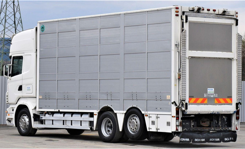 شاحنة نقل المواشي Scania R 500: صورة 6