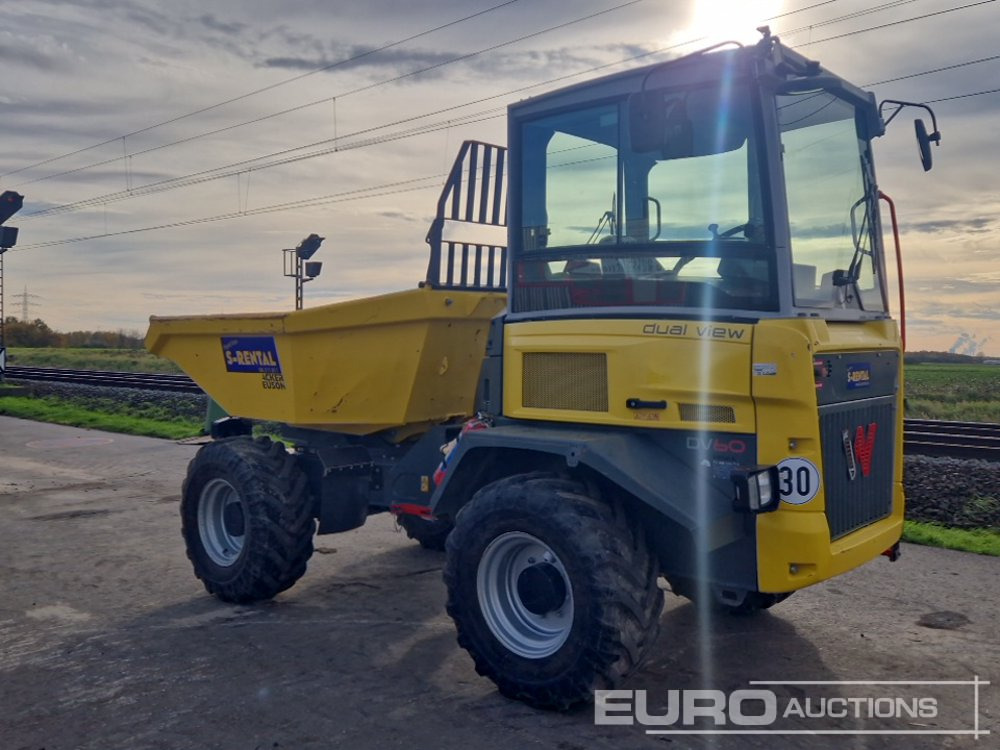 2020 Wacker Neuson DV60 - شاحنة قلابة صغيرة: صورة 3 2020 Wacker Neuson DV60 - شاحنة قلابة صغيرة: صورة 3
