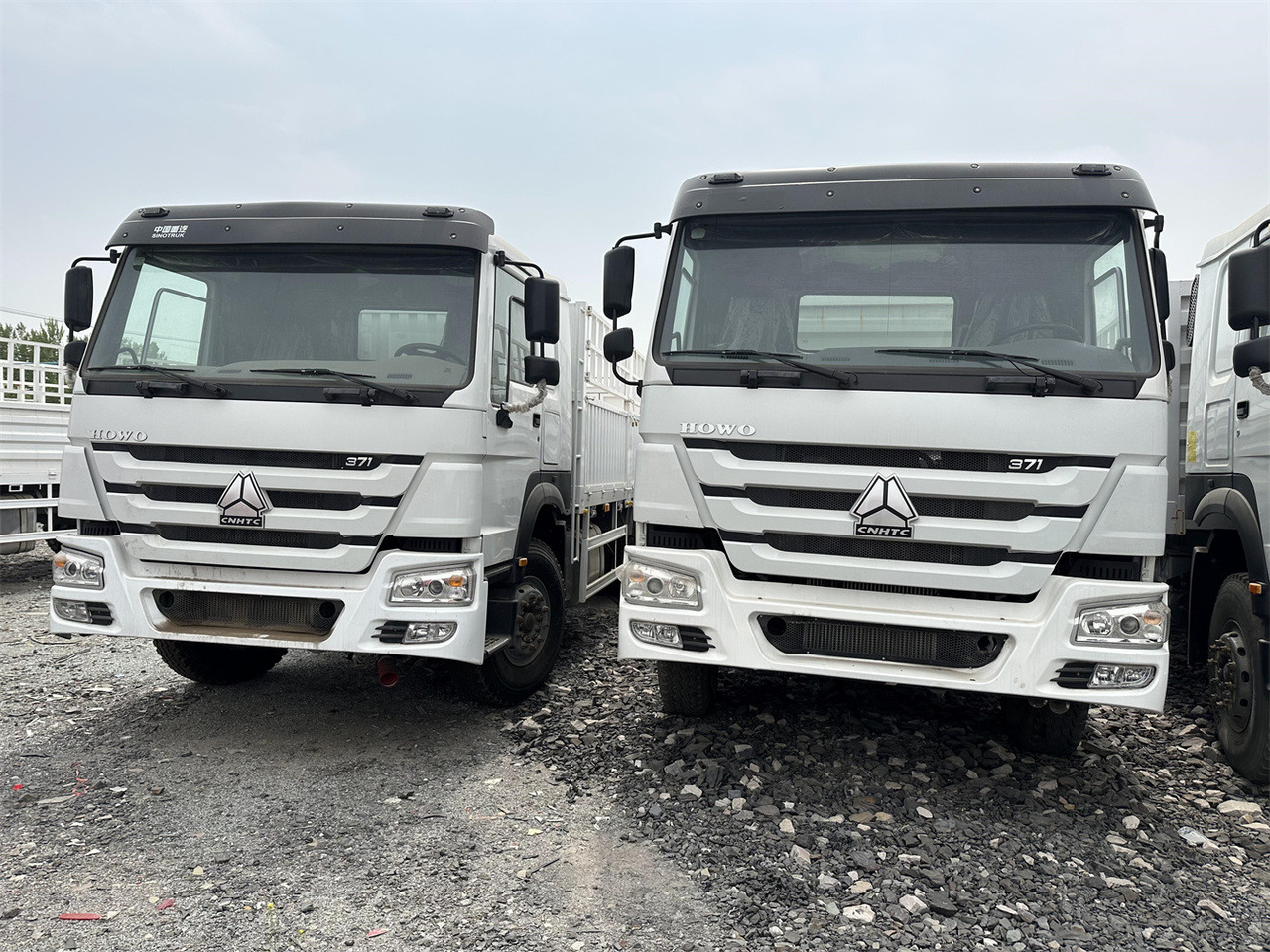 SINOTRUK HOWO 371 Cargo truck - شاحنة نقل المواشي: صورة 1 SINOTRUK HOWO 371 Cargo truck - شاحنة نقل المواشي: صورة 1
