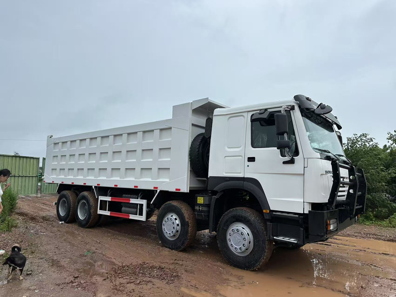 شاحنة قلاب لنقل البضائع الحرة Sinotruk HOWO 371hp 8x4 tipper truck: صورة 8 شاحنة قلاب لنقل البضائع الحرة Sinotruk HOWO 371hp 8x4 tipper truck: صورة 8
