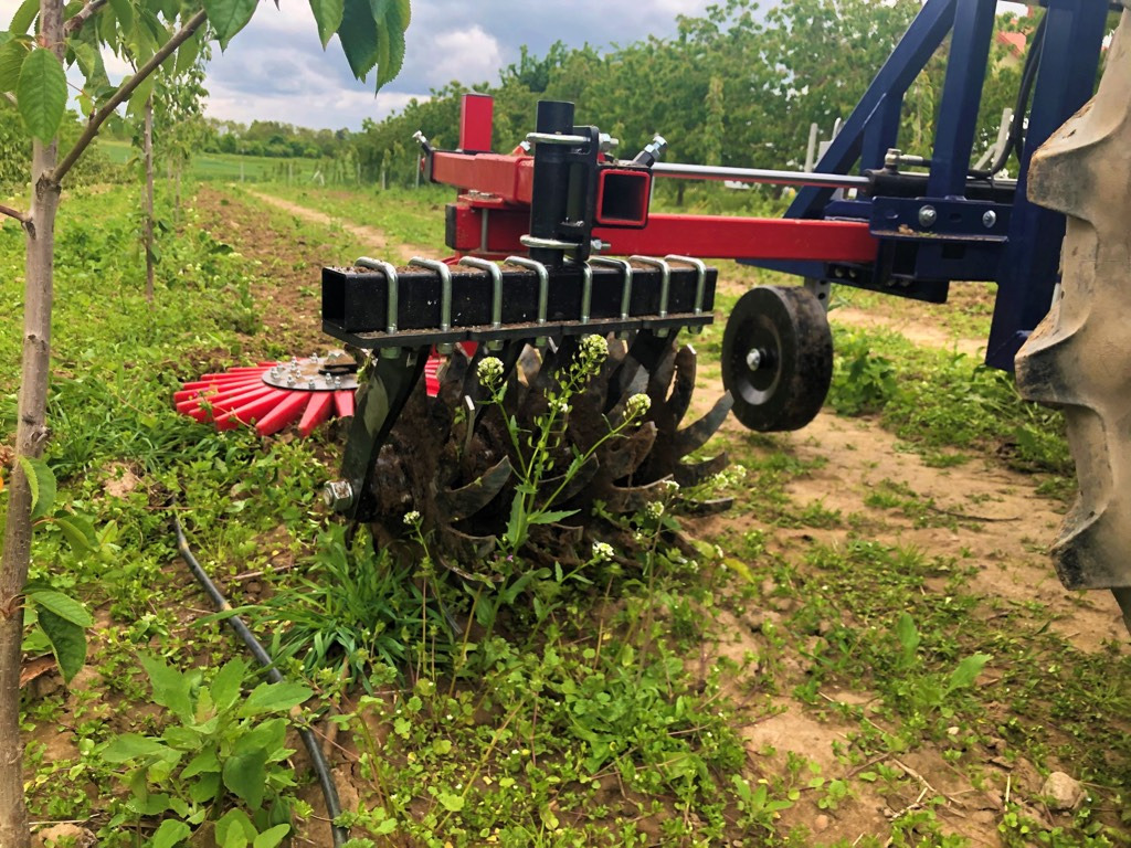 Jagoda one-sided orchard weeder KLAUDIA X1 - المحراث: صورة 3 Jagoda one-sided orchard weeder KLAUDIA X1 - المحراث: صورة 3