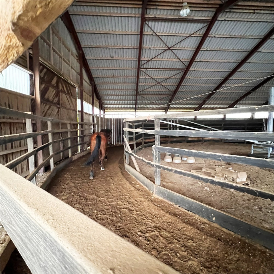 ABC Molenkoning Horse Walker - 20 meter - Se Video! - معدات الثروة الحيوانية: صورة 3 ABC Molenkoning Horse Walker - 20 meter - Se Video! - معدات الثروة الحيوانية: صورة 3