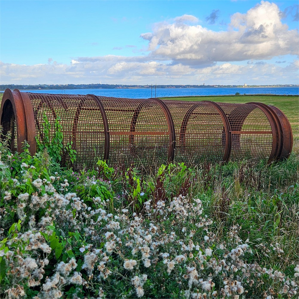 فرازة TIM Envipro TS 7020: صورة 49 فرازة TIM Envipro TS 7020: صورة 49