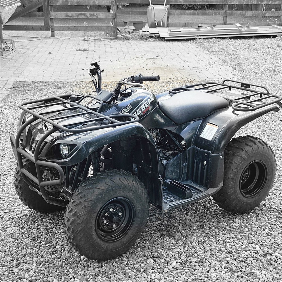 Yamaha YFM 250 - مركبة لجميع التضاريس: صورة 3 Yamaha YFM 250 - مركبة لجميع التضاريس: صورة 3