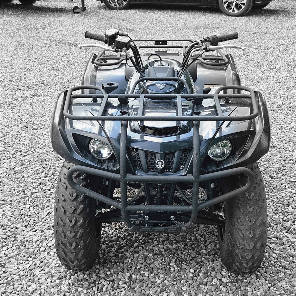Yamaha YFM 250 - مركبة لجميع التضاريس: صورة 2 Yamaha YFM 250 - مركبة لجميع التضاريس: صورة 2