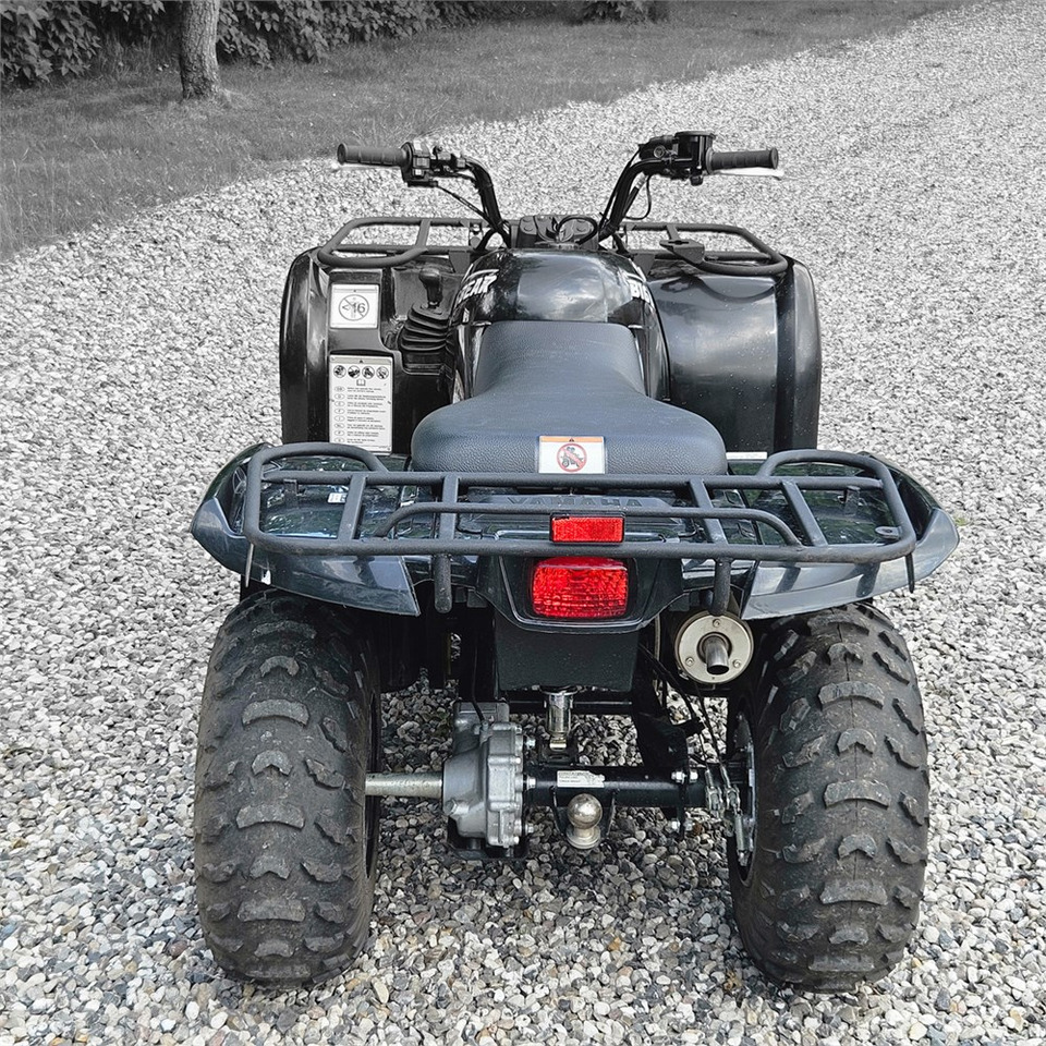 Yamaha YFM 250 - مركبة لجميع التضاريس: صورة 5 Yamaha YFM 250 - مركبة لجميع التضاريس: صورة 5