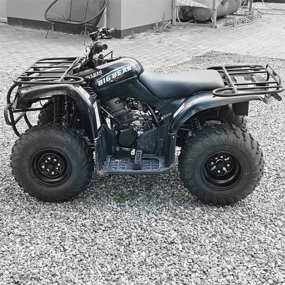Yamaha YFM 250 - مركبة لجميع التضاريس: صورة 4 Yamaha YFM 250 - مركبة لجميع التضاريس: صورة 4
