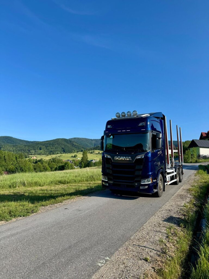 شاحنة قطع الأشجار SCANIA 650 V8 6X4: صورة 8