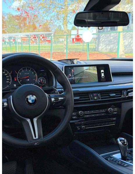 سيدان BMW 'X6 (F16) _ M: صورة 16 سيدان BMW 'X6 (F16) _ M: صورة 16