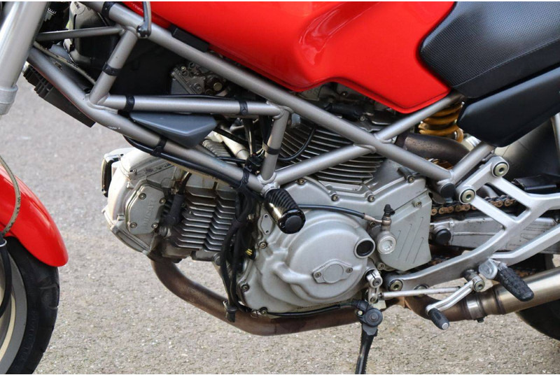 دراجة نارية Ducati Monster 600: صورة 15 دراجة نارية Ducati Monster 600: صورة 15