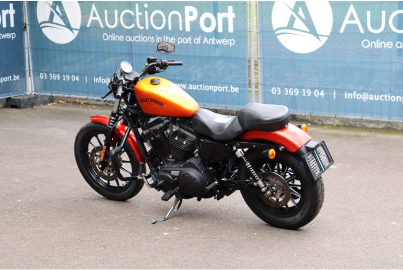 Harley-Davidson Sportster XL883 Iron - دراجة نارية: صورة 3 Harley-Davidson Sportster XL883 Iron - دراجة نارية: صورة 3
