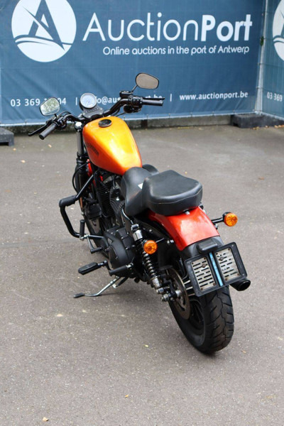 Harley-Davidson Sportster XL883 Iron - دراجة نارية: صورة 4 Harley-Davidson Sportster XL883 Iron - دراجة نارية: صورة 4