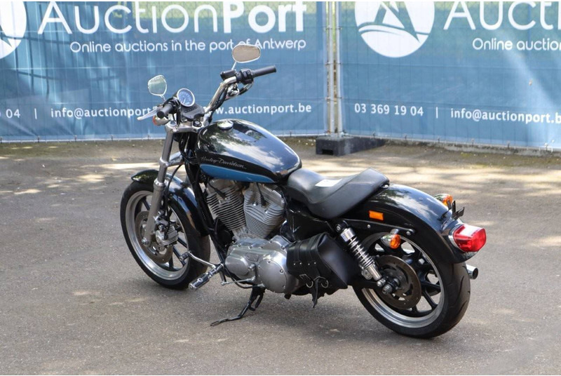 Harley-Davidson Sportster XL883 - دراجة نارية: صورة 3 Harley-Davidson Sportster XL883 - دراجة نارية: صورة 3
