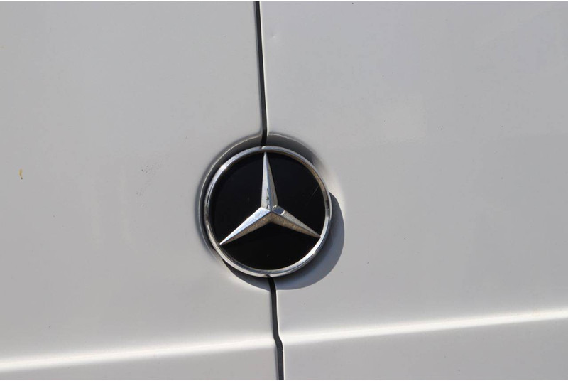 فان Mercedes-Benz Sprinter: صورة 18