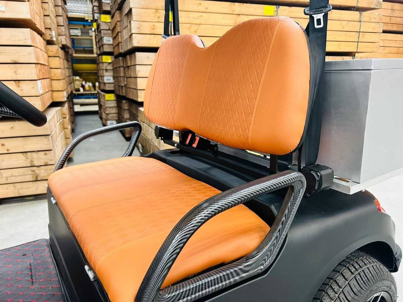 جديدة عربة الجولف RTE: صورة 19