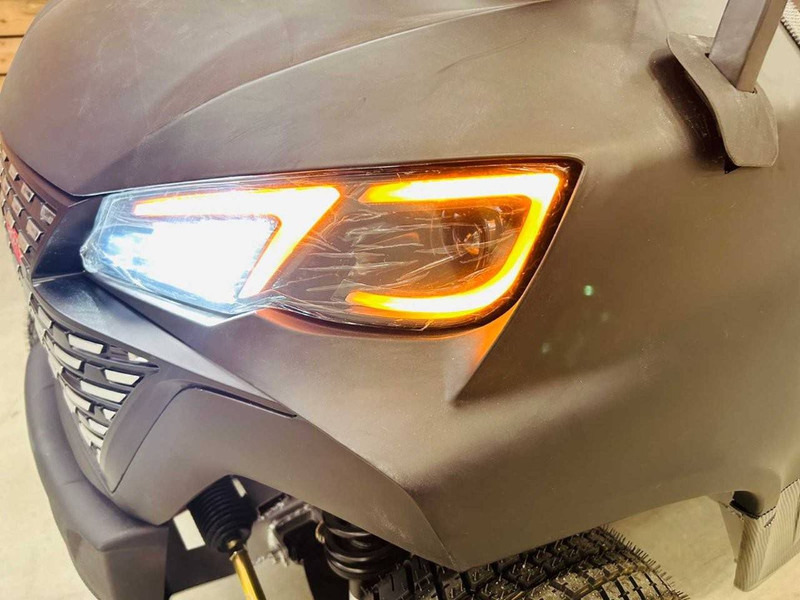 جديدة عربة الجولف RTE: صورة 13