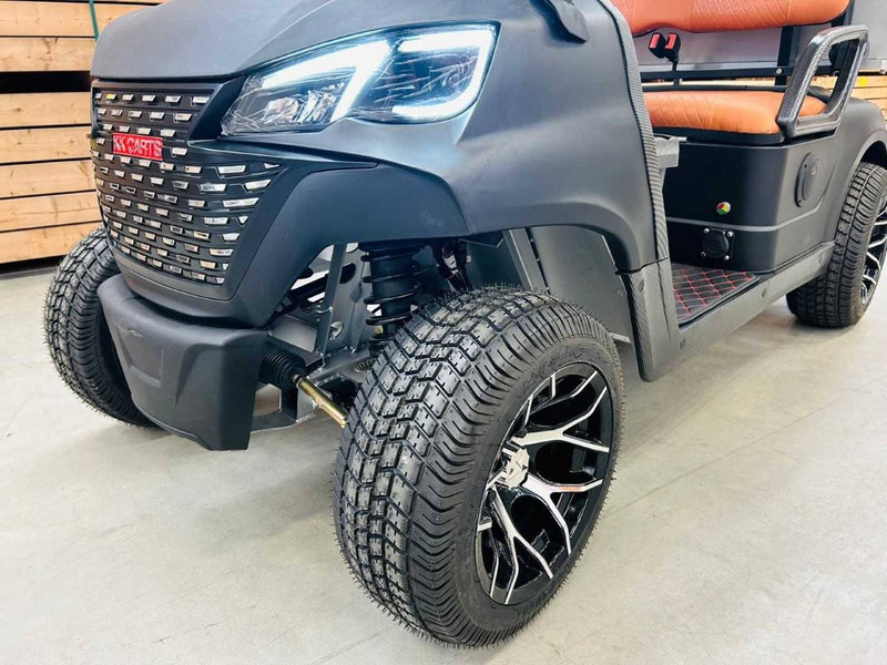 جديدة عربة الجولف RTE: صورة 16