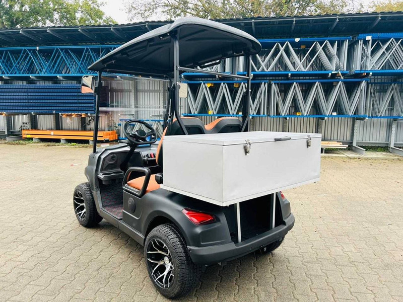 جديدة عربة الجولف RTE: صورة 8