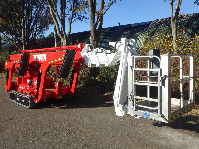 Teupen Leo30T - شاحنة ذراع مفصلي: صورة 3 Teupen Leo30T - شاحنة ذراع مفصلي: صورة 3