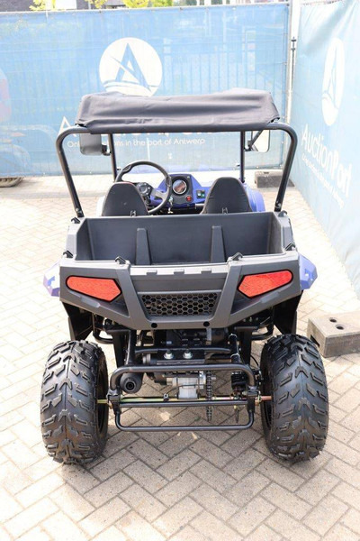 Wextrem UTV-ATV 200Pro - عربة الجولف: صورة 4 Wextrem UTV-ATV 200Pro - عربة الجولف: صورة 4