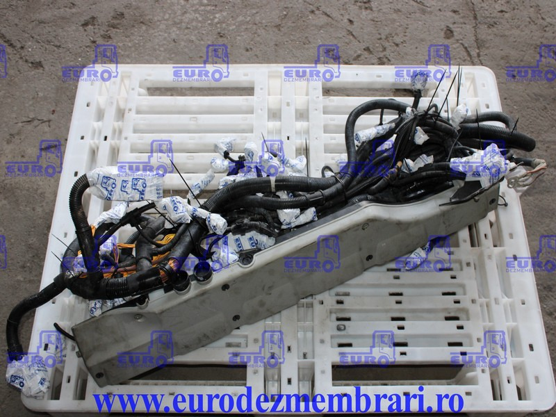 INSTALATIE ELECTRICA MOTOR MAN D2676 LF51 81.25459.6956 - تسخير/ تجميع الكابلات - شاحنة: صورة 1 INSTALATIE ELECTRICA MOTOR MAN D2676 LF51 81.25459.6956 - تسخير/ تجميع الكابلات - شاحنة: صورة 1