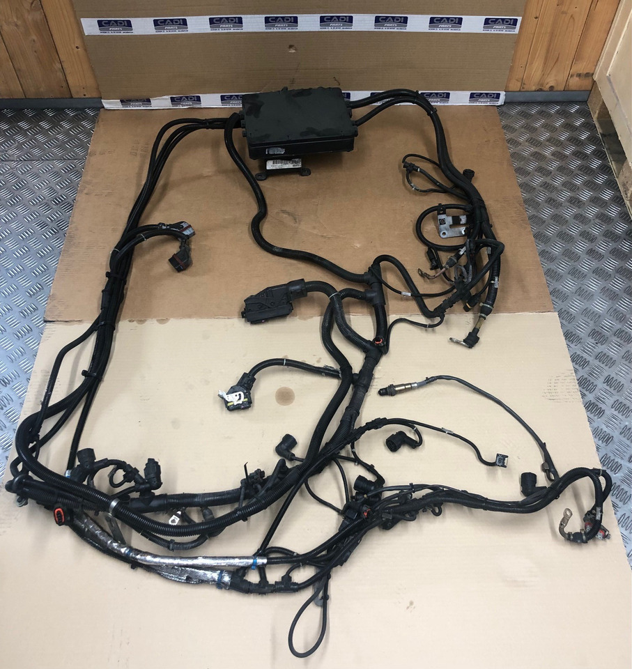 FASCIA CAVI MOTORE MAN 81254246448 - تسخير/ تجميع الكابلات - شاحنة: صورة 1 FASCIA CAVI MOTORE MAN 81254246448 - تسخير/ تجميع الكابلات - شاحنة: صورة 1